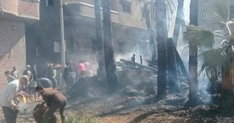 إخماد حريق بهيش ونخيل فى كفر الشيخ وإصابة 4 أشخاص