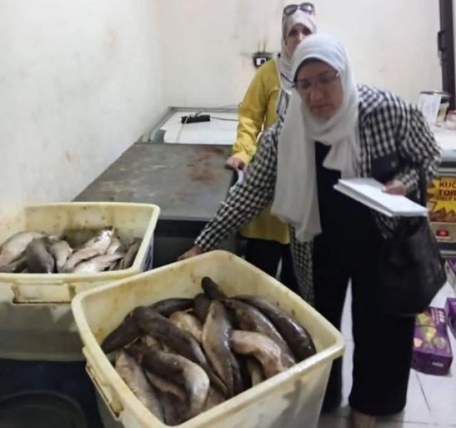 مديرية تموين الجيزة تضبط 1.3 طن فسيخ ورنجة غير صالحة للاستهلاك الآدمي