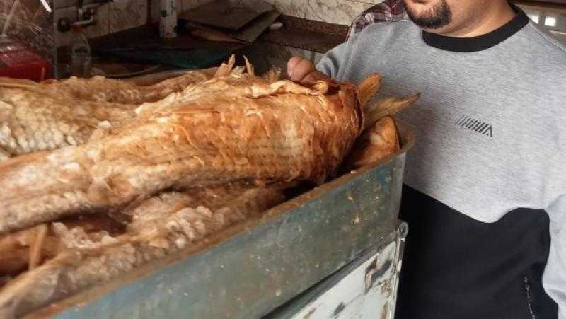 ضبط 91 طن مصنعات لحوم ودواجن وأسماك مملحة ومدخنة فاسدة في الجيزة
