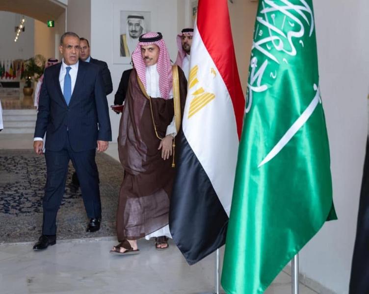 وزير الخارجية يترأس وفد مصر في أعمال لجنة المتابعة والتشاور السياسي مع السعودية في الرياض