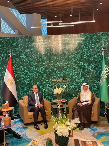 وزير الخارجية والهجرة يلتقي بوزير الطاقة السعودي
