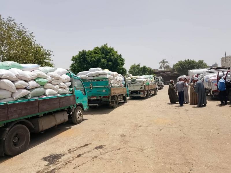 توريد 9011 طن و346 كيلو قمحا بصوامع وشون سوهاج خلال أسبوع