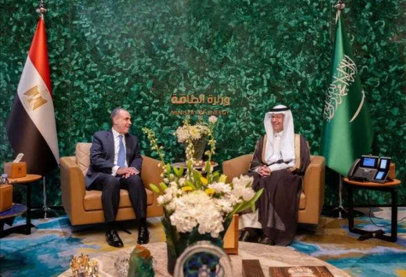 وزير الطاقة السعودي يستقبل وزير الخارجية والهجرة المصري