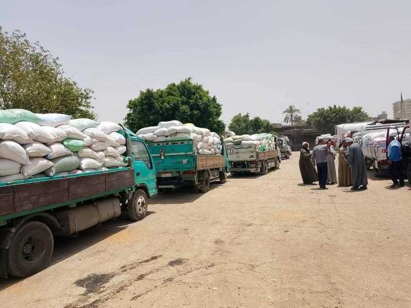 صوامع الشرقية تستقبل 9799 طنا من محصول القمح
