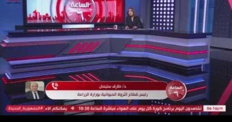 رئيس الثروة الحيوانية: سعر العلف انخفض 40% ونتوقع انخفاضا 10% بأسعار اللحوم