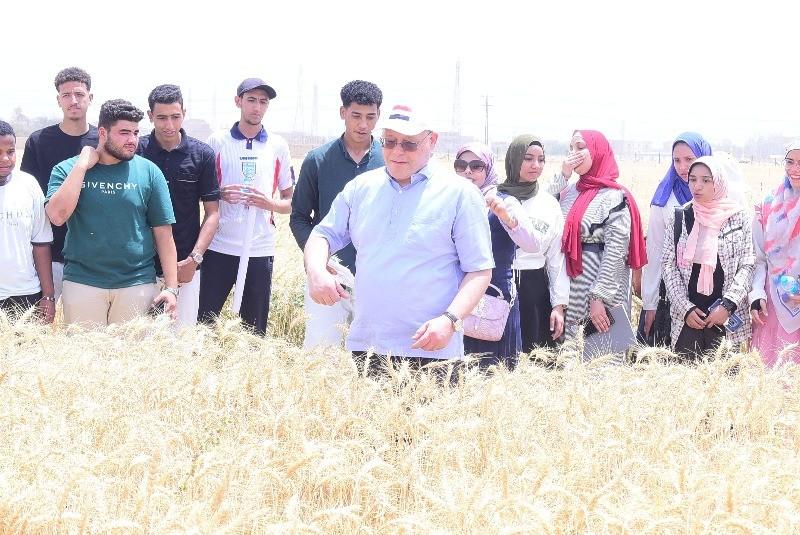 رئيس جامعة سوهاج يشهد بدء موسم حصاد تقاوي القمح بمزرعة الجامعة