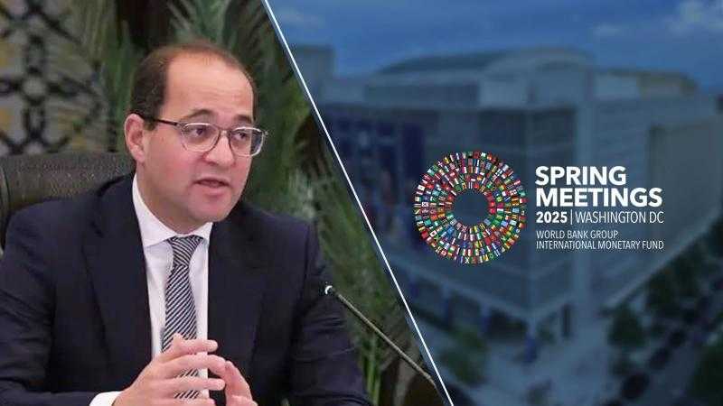 وزير المالية: موقع مصر الاستراتيجي بوابة قوية لوصول الشركات البولندية إلى أفريقيا والشرق الأوسط
