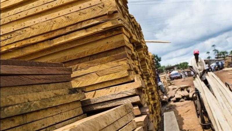 أسعار الخشب اليوم الجمعة 25 - 4 - 2025