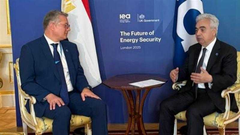 وزير البترول يبحث مع وكالة الطاقة الدولية تنفيذ مشروعات لخفض الكربون