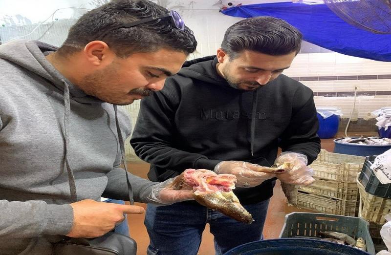 حملات ”سلامة الغذاء” تضبط 6 أطنان فسيخ ورنجة غير صالحة بالغربية.. صور