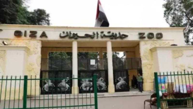 هل يزيد سعر تذكرة حديقة الحيوان بعد تجديدها؟.. متحدث الزراعة يجيب