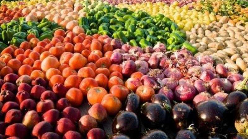 وزارة الاستثمار: خطة سنوية لتعزيز نفاذ الصادرات المصرية لأمريكا وأوروبا