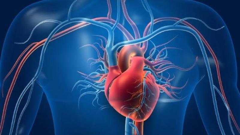 استشاري قلب يكشف أعراض متلازمة القلوب المحطمة