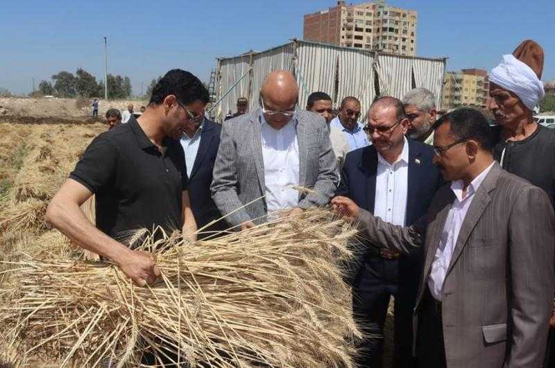 محافظ القليوبية يتفقد صوامع تخزين القمح لمتابعة عملية التوريد
