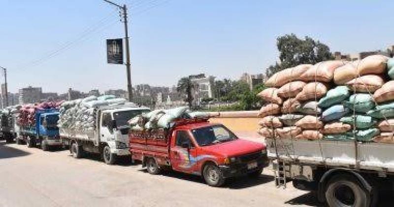 توريد 15328 طن قمح بكفر الشيخ