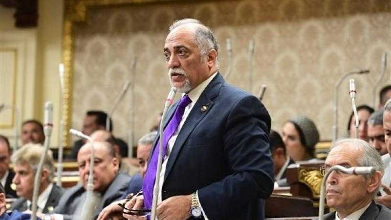 زعيم الأغلبية البرلمانية: قانون الثروة المعدنية يصب في صالح الاقتصاد القومي