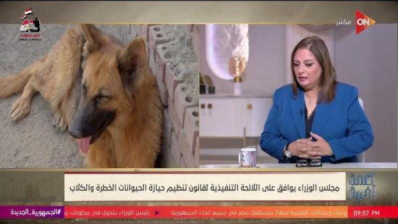 رئيس اتحاد جمعيات الرفق بالحيوان تكشف ثلاثة أنواع من الكلاب سيتم حظر اقتنائها