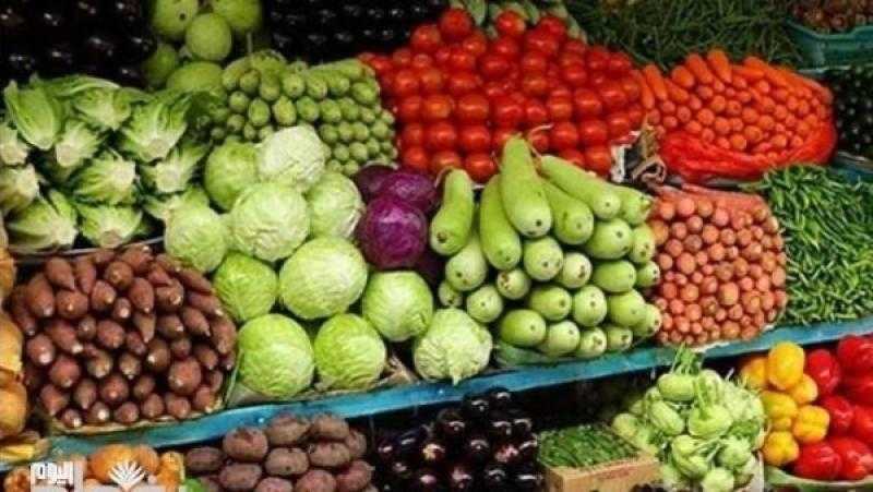 عبد الحميد الدمرداش: الزراعة تعد القلب النابض للاقتصاد الوطني