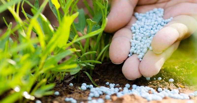 أسعار الأسمدة بالأسواق اليوم الأربعاء 30 أبريل 2025