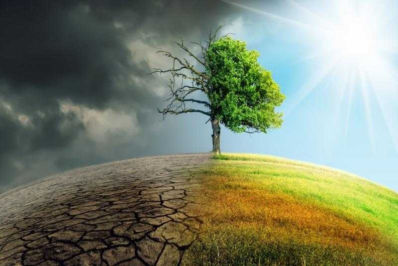 معلومات الوزراء: تغير المناخ يؤثر عالمياً على الأمن الغذائى