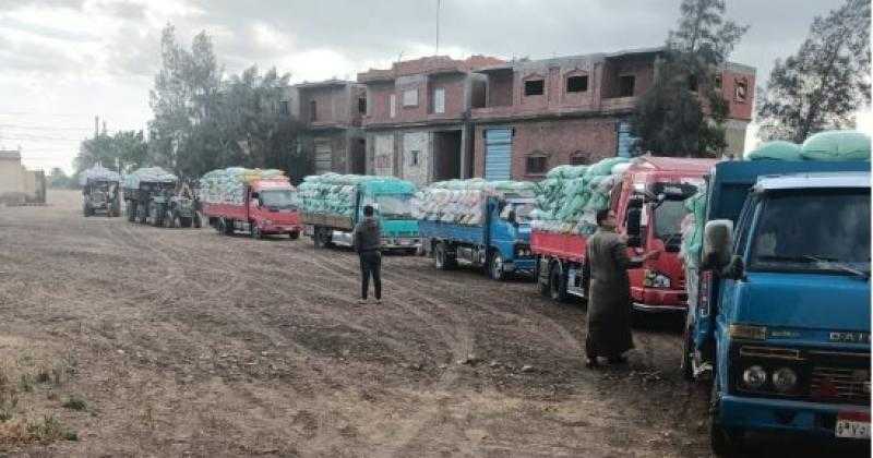 محافظ المنوفية: توريد 19 ألف طن قمح منذ بدء الموسم