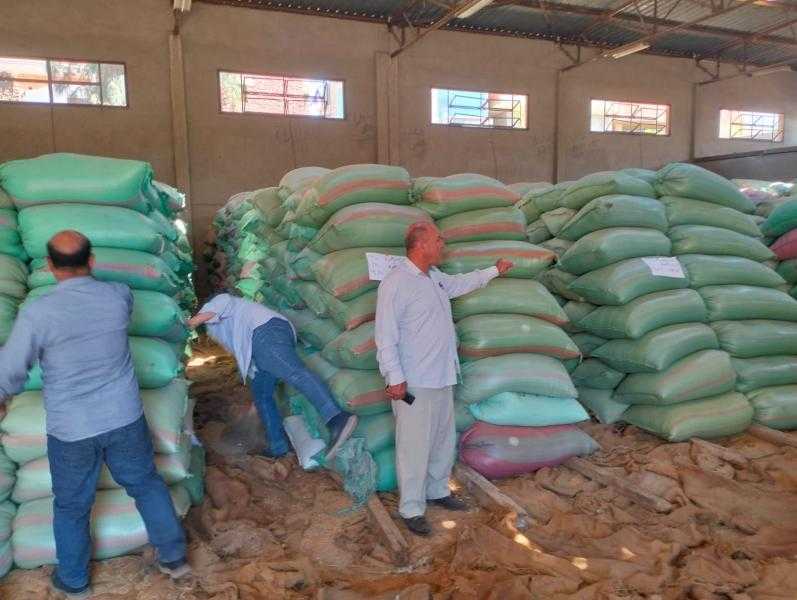 محافظ المنيا: توريد 111 ألفا و229 طن قمح منذ بداية موسم الحصاد 2025