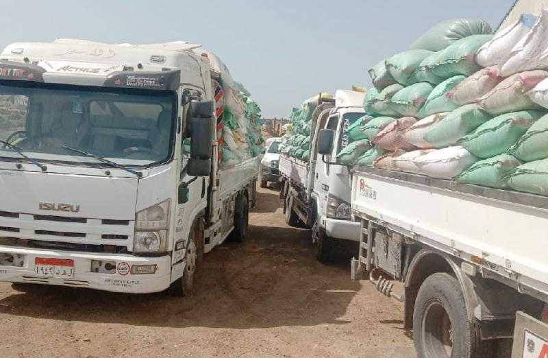 توريد 47 ألف طنا من الأقماح المحلية بالصوامع والشون في بني سويف