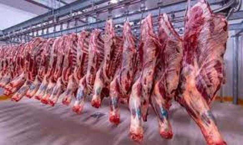 الخدمات البيطرية: الرقابة على أسواق اللحوم وإغلاق 85 مركز مخالف لبيع الأدوية البيطرية