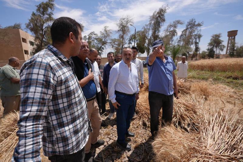 محافظ أسيوط يعلن توريد أكثر من 46 ألف طن قمح حتى الآن.. صور