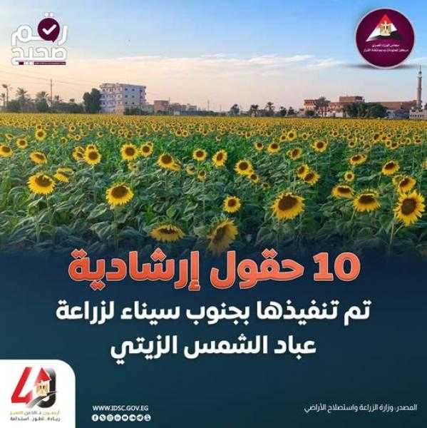 ”معلومات الوزراء” يرصد طفرة في القطاع الزراعي وجهود تحقيق الأمن الغذائي| إنفوجراف