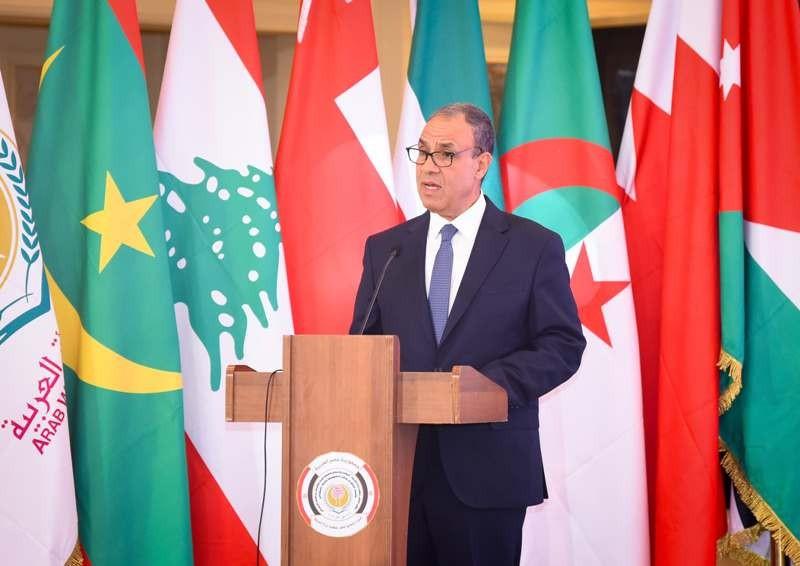 وزير الخارجية يؤكد أهمية حماية المرأة من العنف السيبراني