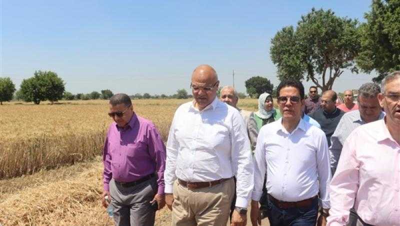 محافظ القليوبية ورئيس جامعة بنها يفتتحان موسم حصاد القمح بكلية الزراعة بمشتهر