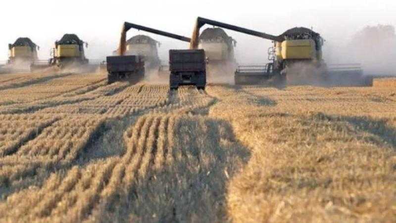 وزير التموين: جمعنا 1.5 مليون طن قمح ونستهدف زيادة التوريد هذا العام