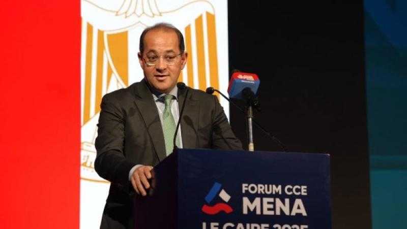 وزير المالية: الاقتصاد المصرى يتحرك بخطى جيدة.. ويوفر فرصا استثمارية كبيرة