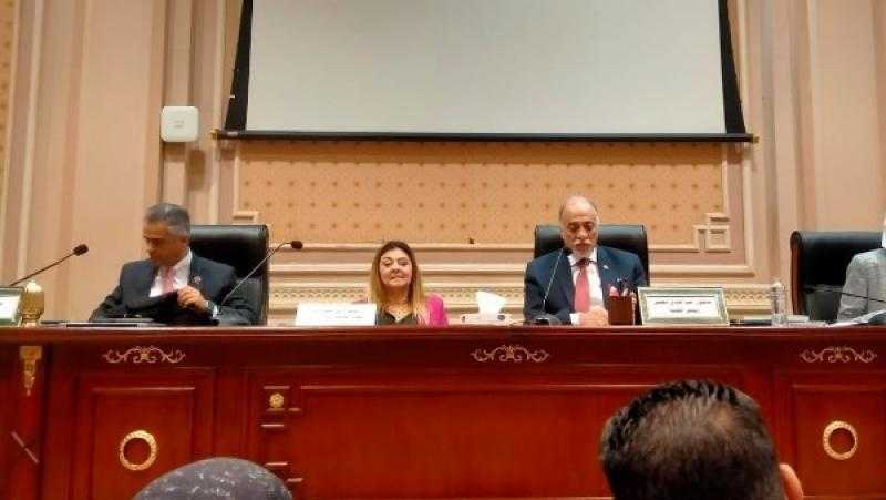 ”القومي للأشخاص ذوي الإعاقة” يناقش موازنة المجلس مع لجنة التضامن