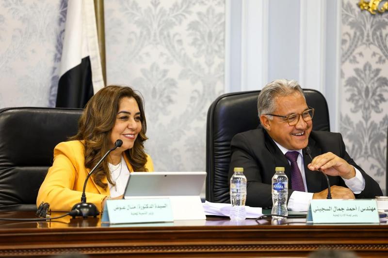وزيرة التنمية المحلية تشارك فى اجتماع لجنة الإدارة المحلية بمجلس النواب