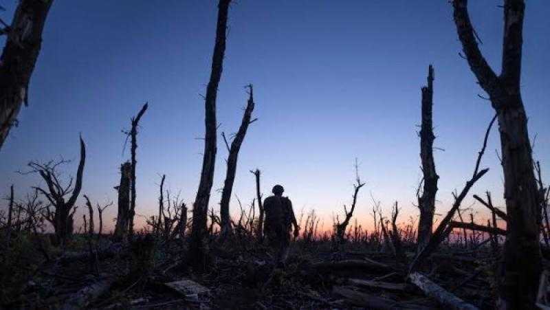 مهرجان كان يحتفي بأوكرانيا عبر ثلاثة أفلام في يوم استثنائي