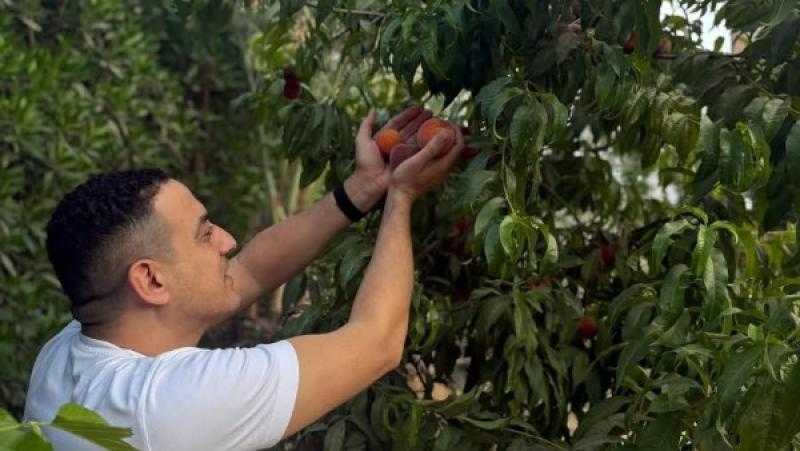 اتفضلوا معانا.. محمد دياب في مزارع الخوخ
