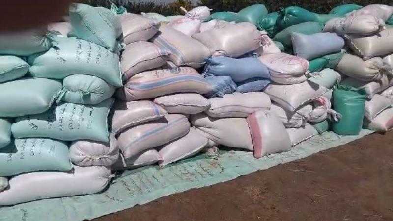 محافظ المنوفية: ضبط 50 طن قمح بمخزن غير مرخص بالباجور