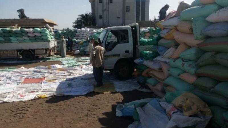 توريد 157 ألفًا و583 طن قمح لصوامع وشون كفر الشيخ |صور