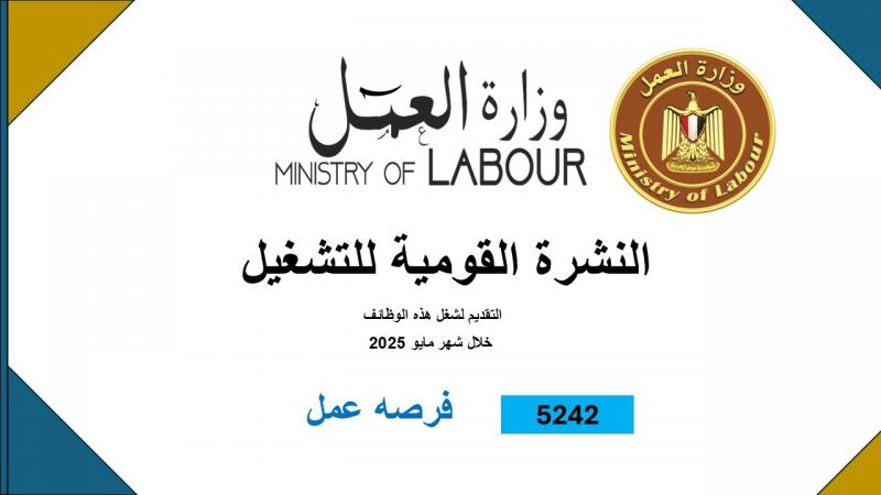 وزارة العمل: 5242 فُرصة عمل جديدة في 50 شركة خاصة تنتظر شباب 8 محافظات