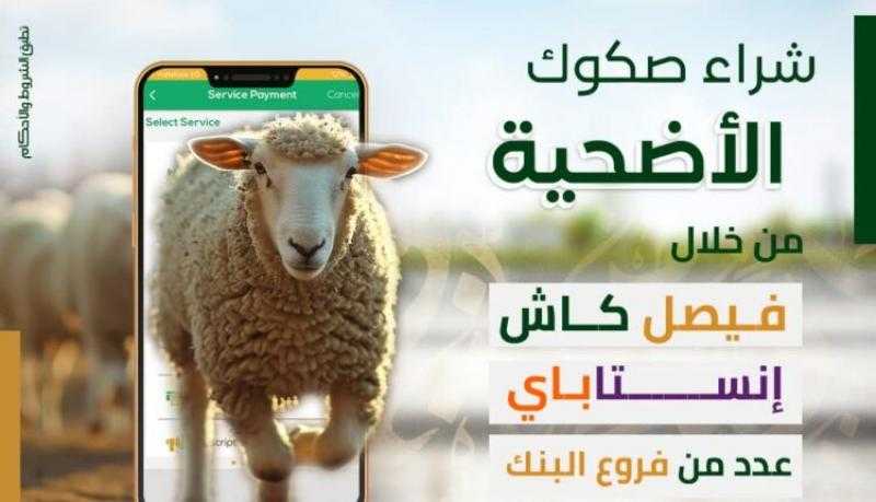 بنك فيصل يتيح شراء صك الأضحية عبر فيصل كاش وإنستاباي وعدد من الفروع