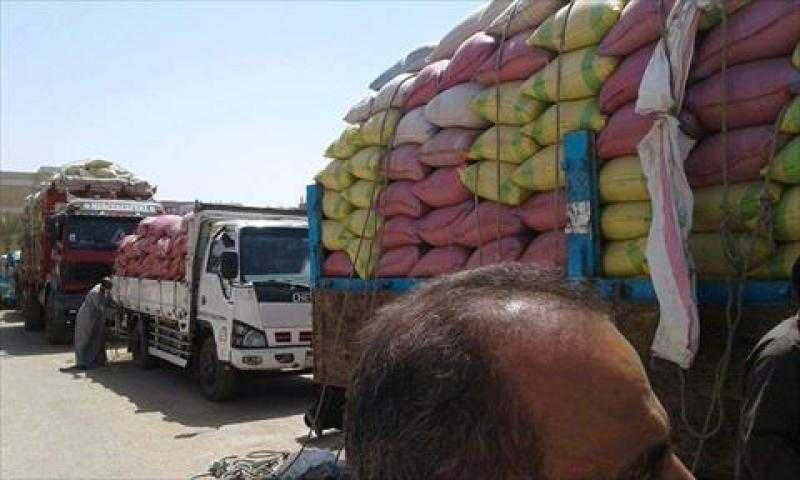 محافظ كفرالشيخ: توريد 178 ألف طن من القمح وصرف مستحقات المزارعين بانتظام