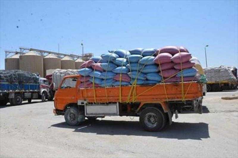 توريد 191 ألف طن قمح لصوامع وشون الفيوم