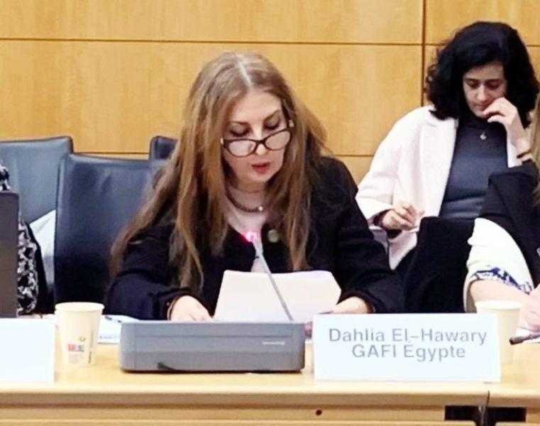 الهواري تستعرض الأنظمة الاستثمارية المختلفة في مصر.. والتركيز علي المنطقة الاقتصادية لقناة السويس