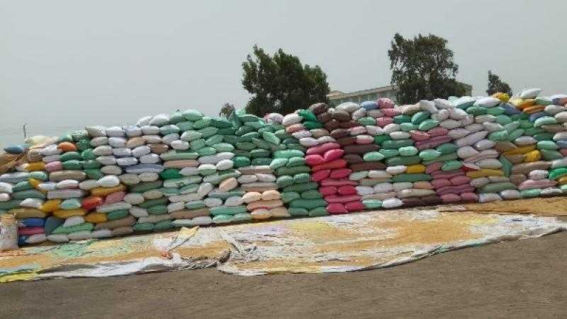 توريد 195 ألفًا و199 طن قمح لصوامع وشون كفر الشيخ | صور