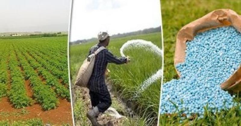 هبوط قطاع الموارد الأساسية بالبورصة بعد خفض إمدادات الغاز لمصانع الأسمدة