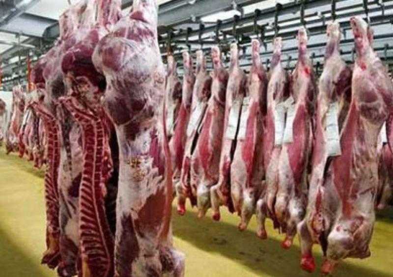 الطب البيطري: دعم المجازر بالأطباء البيطريين استعدادًا لعيد الأضحى