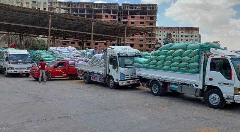 توريد 217.5 ألف طن قمح محلي إلى الصوامع والشون في بني سويف