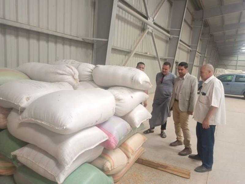 توريد 197 ألف طن قمح في كفر الشيخ